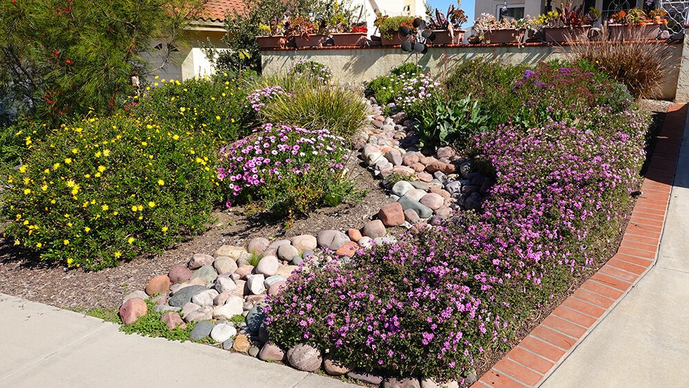 Drought tolerant garden installed in a Bay Area home