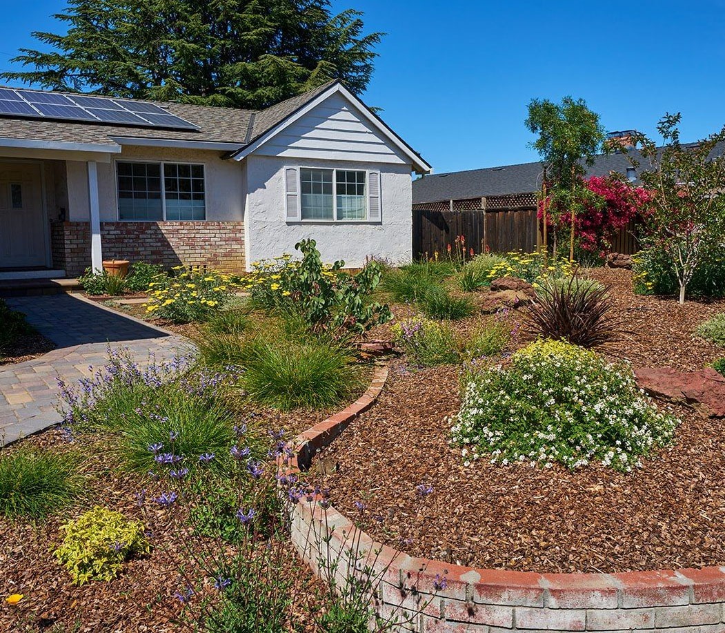 Bay Area Front Yard Landscaping | Opulands