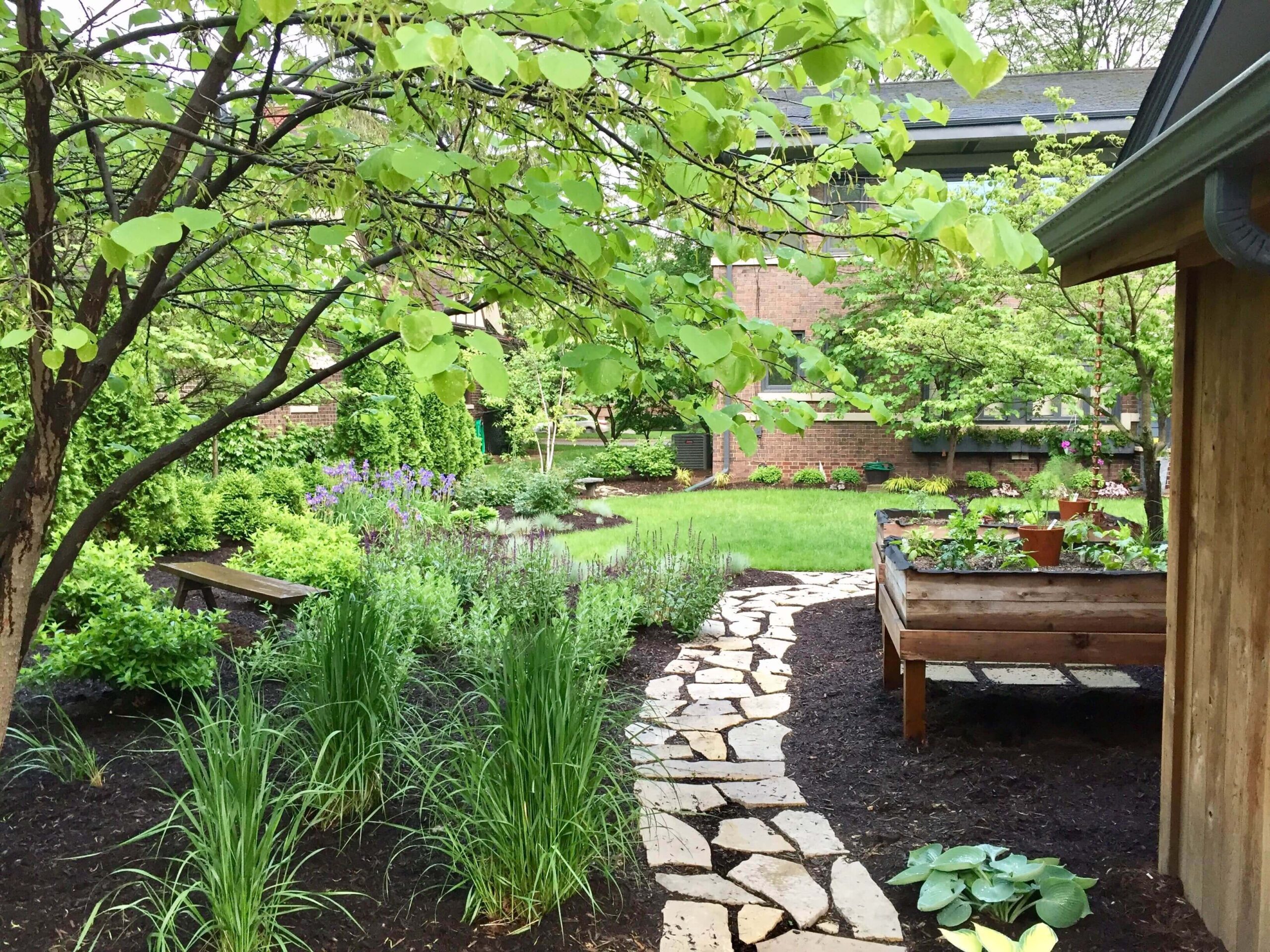 Natural lawn backyard design for a Bay Area home