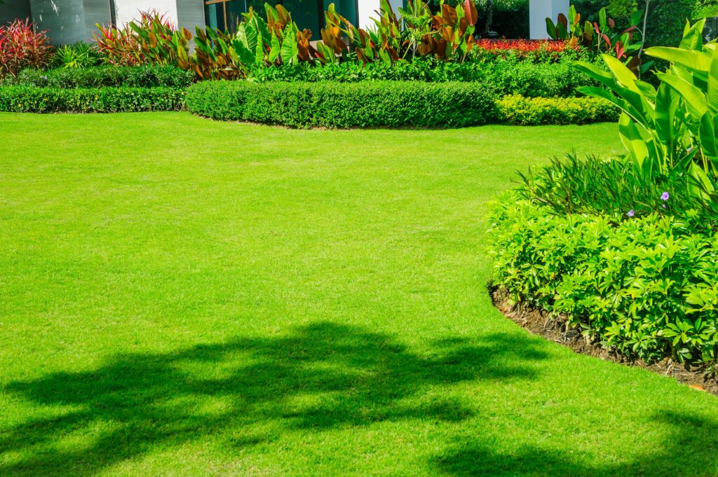 winterizing your lawn bay area | Opulands Landscape Design & Construction